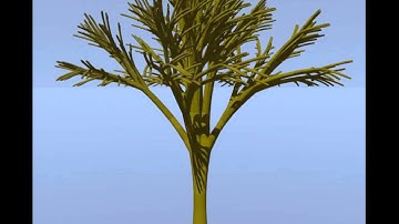 Rotating 4 dimensional tree (around yz plane)