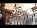 Beginning of video