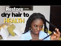 How to restore your dry hair back to health..!!