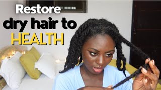 How to restore your dry hair back to health..!!