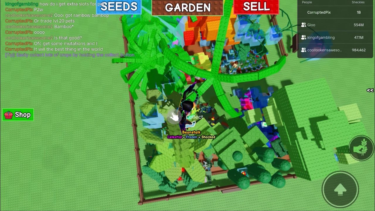 SHOWCASING MY GARDEN IN GROW A GARDEN!!! - YouTube