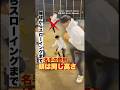 名手の鉄則 #内野守備