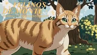 Felinos de Monte Shout Out