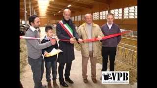 cene inaugurata la nuova stalla della azienda agricola barbis video produzione bergamo