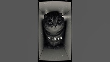 تلاوة خاشعة من سورة هود القارئ فارس عباد #quran #ستوريات #قران_كريم