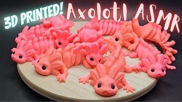 Axolotl ASMR! - 3D Printed