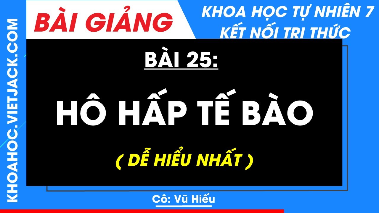 Khoa học tự nhiên 7 Bài 25: Hô hấp tế bào | Kết nối tri thức (DỄ HIỂU NHẤT)