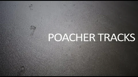 Poacher Tracking