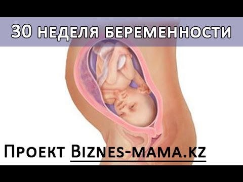 Шевеления на 33 неделе