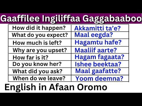 Gaaffilee Ingiliffaa Gaggabaaboo Kutaa 5 English In Afaan Oromo English Question In Afaan Oromo