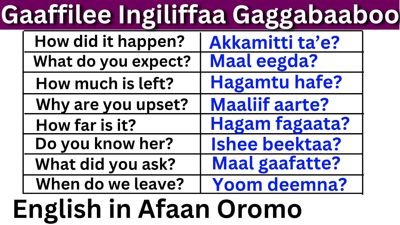 Gaaffilee Ingiliffaa Gaggabaaboo Kutaa 5 (English in Afaan Oromo) English Question in Afaan Oromo