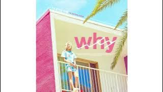 Taeyeon-Why (acapella)