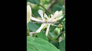 The Quiet Archivist Full Story