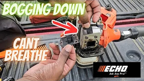 Echo srm225 Weed Trimmer Bogging down Fix
