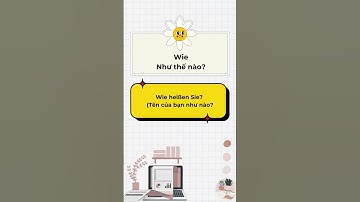 HỌC TỪ VỰNG TIẾNG ĐỨC MỖI NGÀY| A1 - Lektion 2: Fragewörter  #hoctiengduc #tiengducdanang #shorts