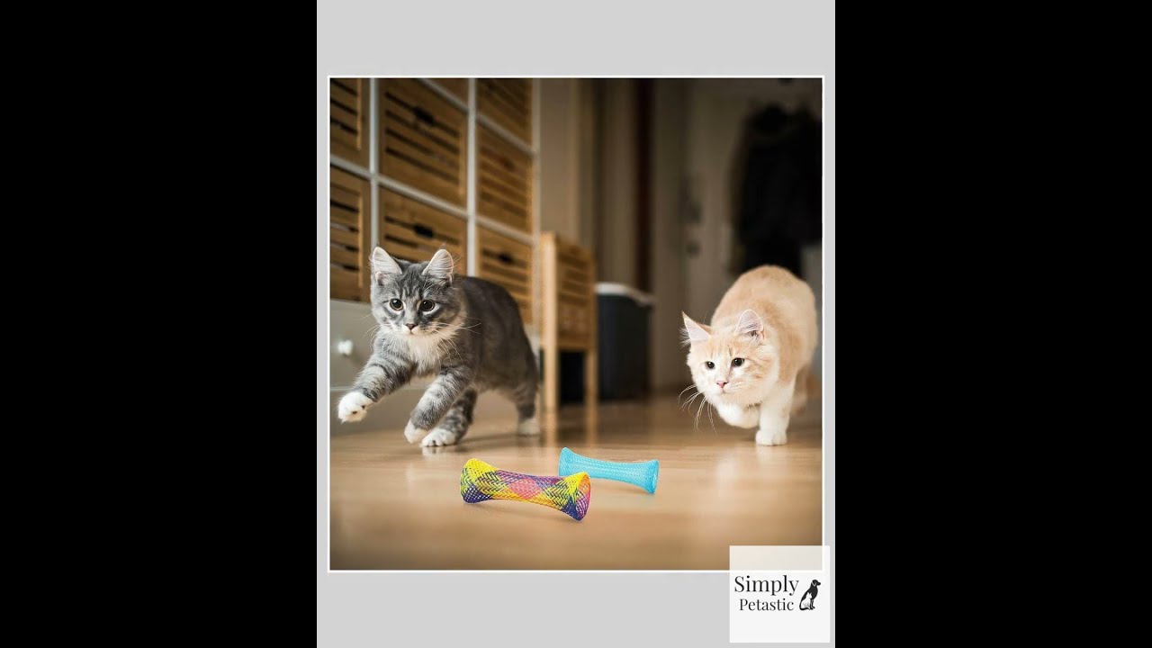 Colorful Cat Spring Toys For Interactive Play 60pc