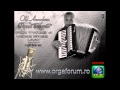 Demo iulik old accordeon parrot for tyros 4 wwworgaforumro