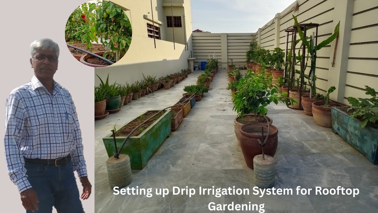 Setting up Drip Irrigation System for Rooftop Gardening