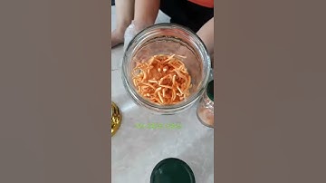 Quy trình ngâm rượu đông trùng hạ thảo