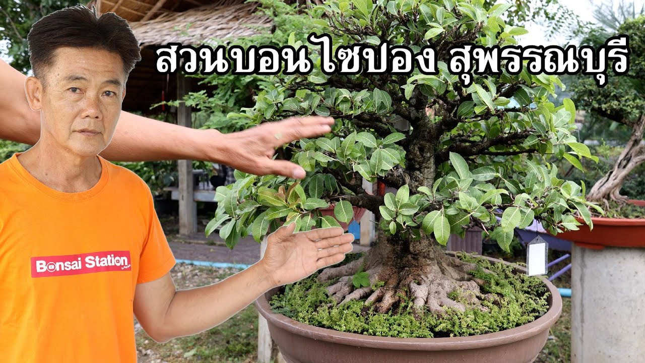 ทัวร์สวนปองสายห้า สาขา สุพรรณบุรี ประจำเดือน ตุลาคม 2566 [Tour Station] EP.42