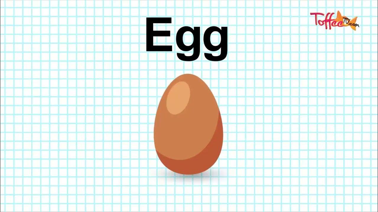 Toffee TV The Letter E Phonics Vocabulary and Sound Building