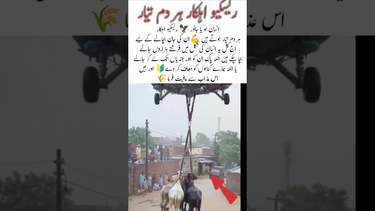 Rescue team well done 👍