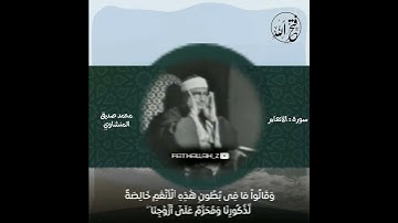 محمد صديق المنشاوي/ رحمه الله ╮سورة الانعام╭