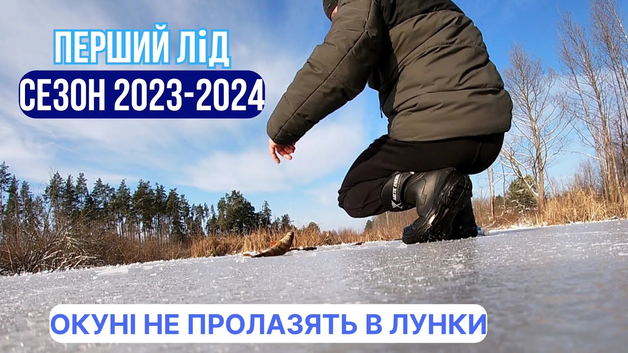 Півкілограмові окуні на мормишку: Зимова ловля, що вас приголомшить