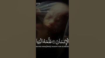 لا تهجروا القرآن الكريم #اسمع_القرآن #تذكير #quran #discover #اكسبلور @EnduringGoodDeeds