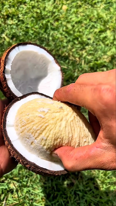 Never throw away this thing that comes out from inside the coconut! #shorts #coconut