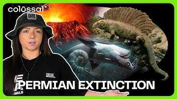 The Permian Extinction Explained: Earth’s Worst Mass Extinction