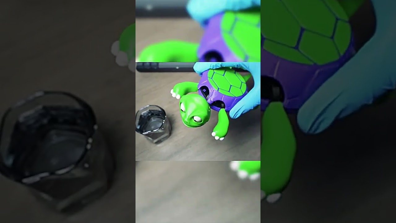 Turtle Fun! The Cutest Little Toy That Brings Big Smiles 