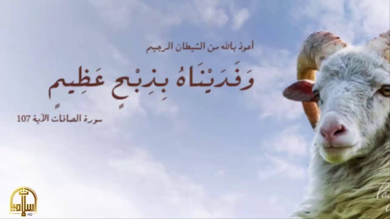 هل تعلم قصة عيد الاضحى قصص القران Youtube