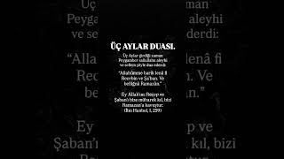 Hayırlı Sabahlar. Şfetbeniöneçıkar Şfetteyiz Çi