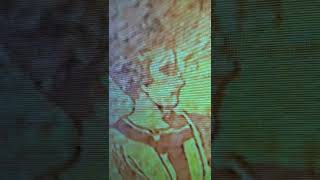 5 1 20 22 Leta Gospodnjeg Sv Svestenomucenik Kliment Ankirski Episkop I Drugi Sa Njim4