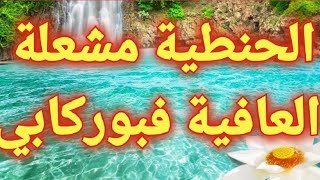 الحنطية العازبة بوركابي ناادم حبك في قلبو جمرة   وأخييرا عرف بحقك معه  واااهيا ناري 