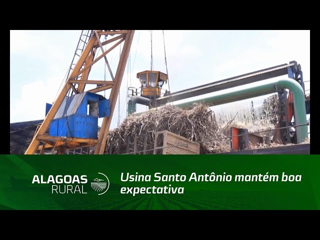 Usina Santo Antônio mantém boa expectativa para safra 2021/ 2022