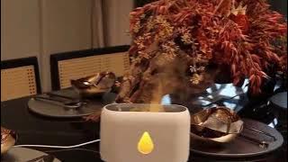 videoplayback online video cutter com