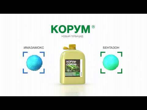 BASF. СОЯ. Технология