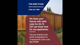 Edmonton Fence STAINING