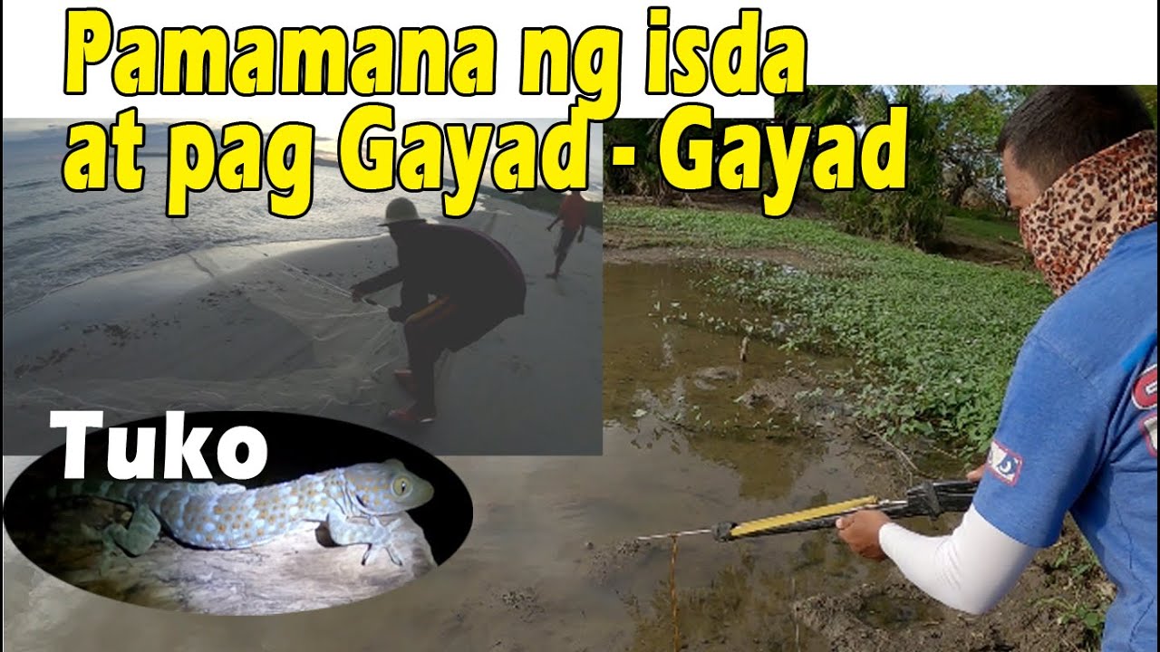 Ep.60- Pamamana at pag gayad gayad|Nakakita kami ng Tuko|Fafa Blog