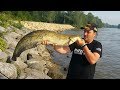 Catfish Spinning On Velika Morava - Mrsha Lures - Svilajnac 2019 - Som - Silure - Wels - Waller