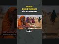 Ərzaq təchizatında qlobal risklər böyüyür - Baku TV