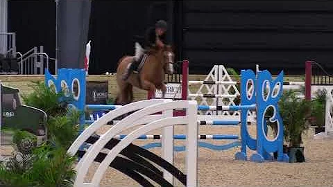 Video of FOR SUNDAY ridden by DAVID Q. BEISEL from...
