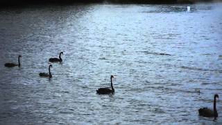 20150129 Taupo, New Zealand, Part 3