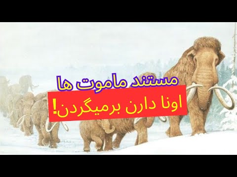 مستند ماموت های پشمالو سیبری