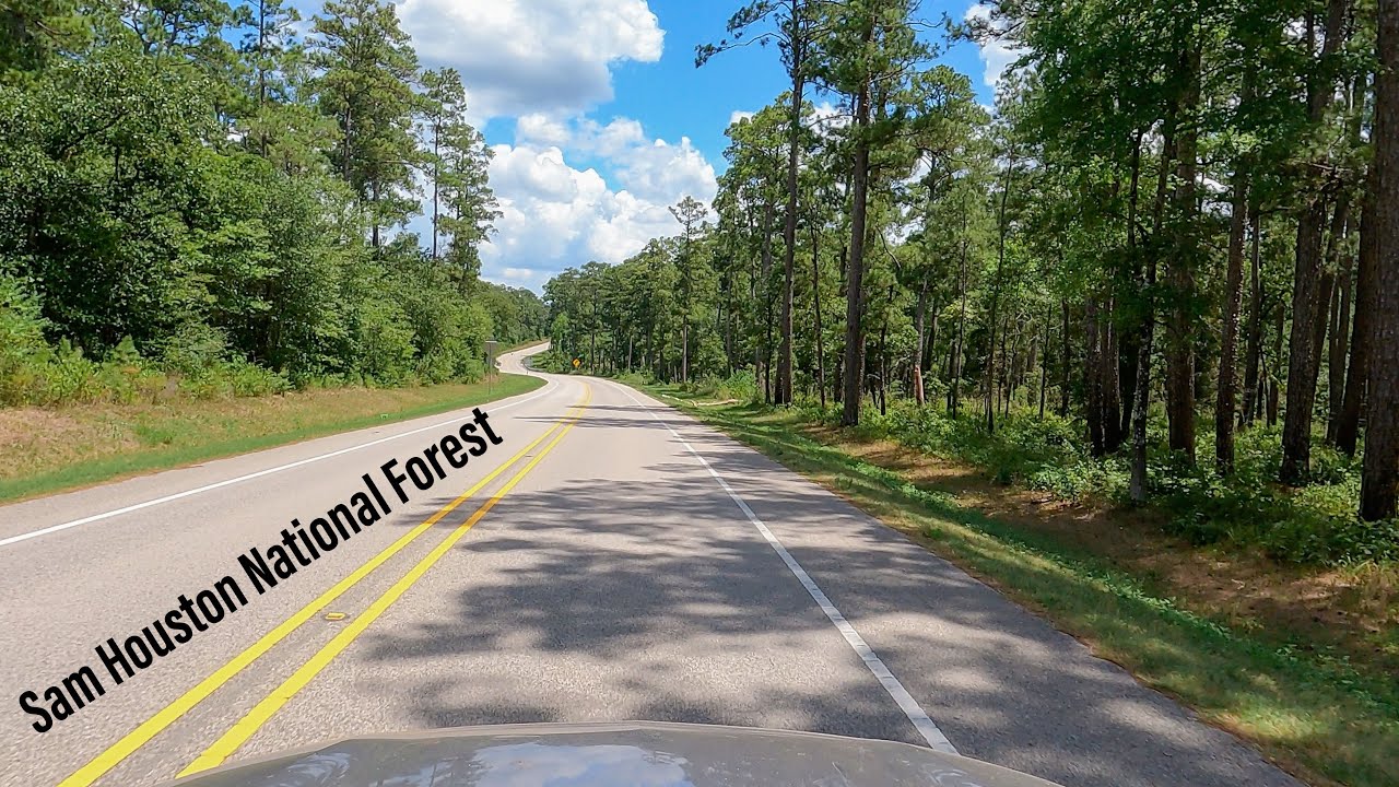 Scenic Piney Woods Drive | East Texas | Sam Houston National Forest