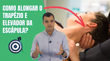 Quais os músculos que fazem a elevação da escápula?