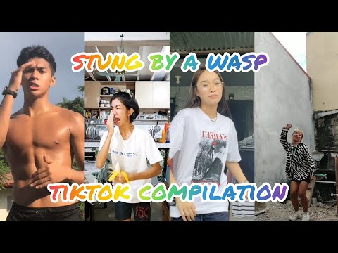 STUNG BY A WASP | BOO B*TCH IM A GHOST | TIKTOK COMPILATION