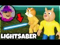 Minitoons secret lightsaber weapon piggy intercity